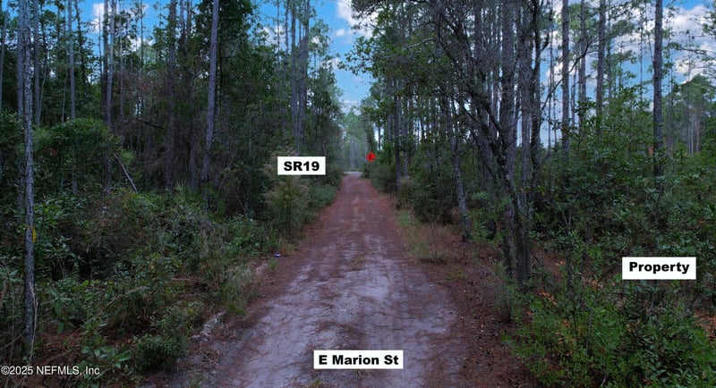 00 Marion St, Palatka, FL 32177