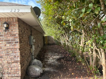 229 Carolina Jasmine Ln, St Johns, FL 32259