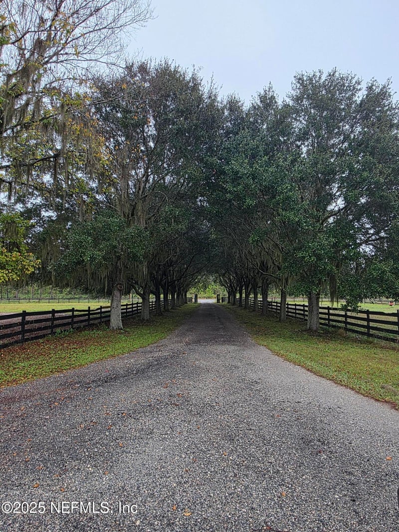 721 Bunnell Rd, Seville, FL 32190