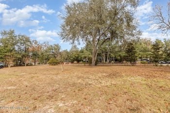 4341 Chokeberry Rd, Middleburg, FL 32068