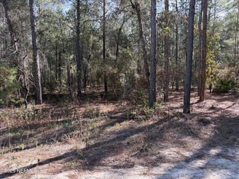 126 Lura Ln, Florahome, FL 32140