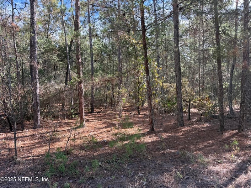 126 Lura Ln, Florahome, FL 32140