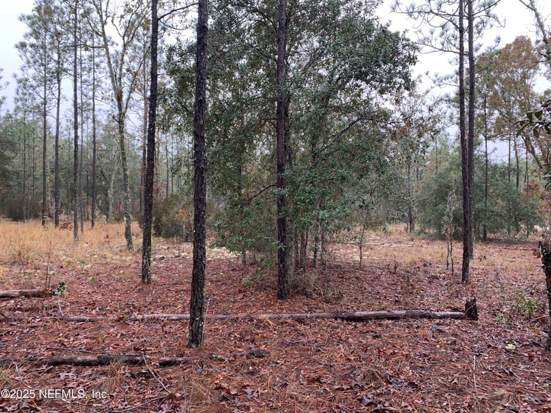 00 Colony St, Hawthorne, FL 32640