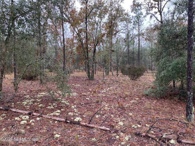 00 Colony St, Hawthorne, FL 32640