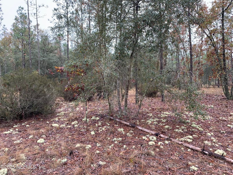 00 Colony St, Hawthorne, FL 32640