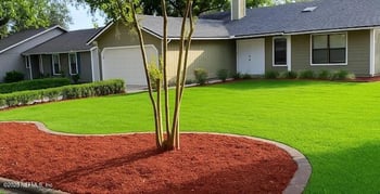 8536 Cross Timbers Dr, Jacksonville, FL 32244