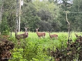 2134 Flintlock Ct, Green Cove Springs, FL 32043