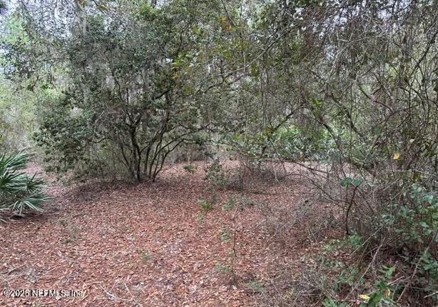 307 Lakeway Dr, Georgetown, FL 32139