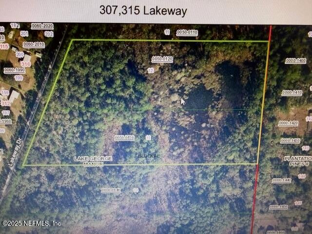 307 Lakeway Dr, Georgetown, FL 32139