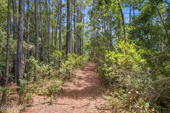 0 State Road 107 & Ward Rd, Fernandina Beach, FL 32034