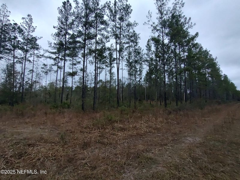 1757 Whippoorwill Ln, Glen St Mary, FL 32040