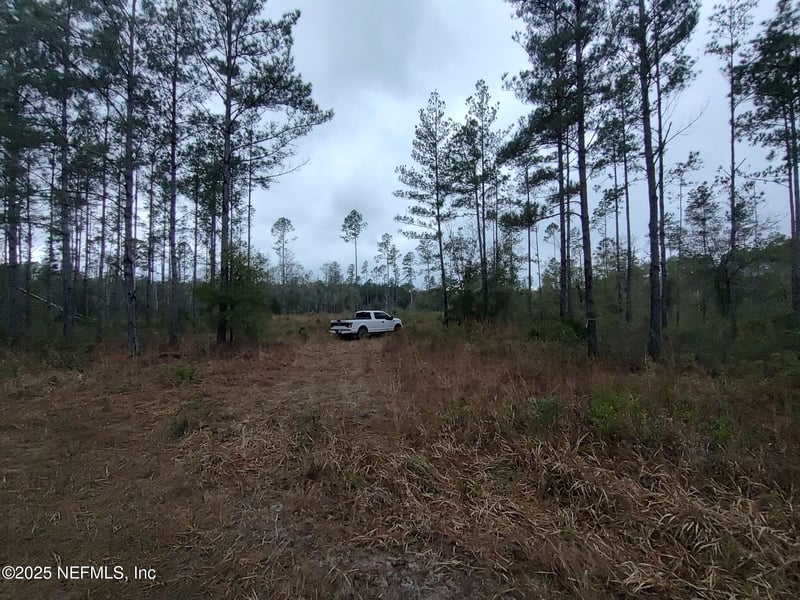 1757 Whippoorwill Ln, Glen St Mary, FL 32040