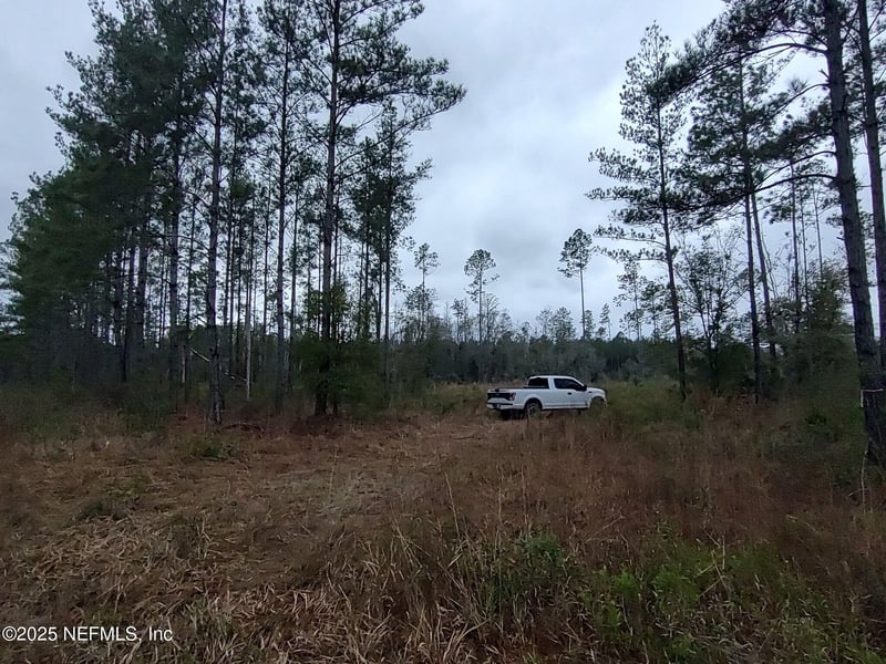 1757 Whippoorwill Ln, Glen St Mary, FL 32040