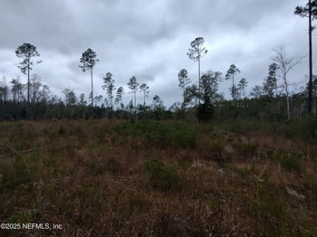 1757 Whippoorwill Ln, Glen St Mary, FL 32040