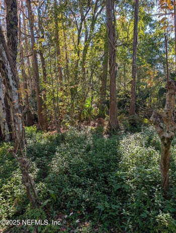 Cortez Rd, Jacksonville, FL 32246