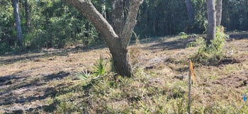 213 Breezeway Ave, Satsuma, FL 32189