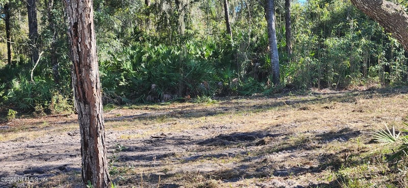 213 Breezeway Ave, Satsuma, FL 32189