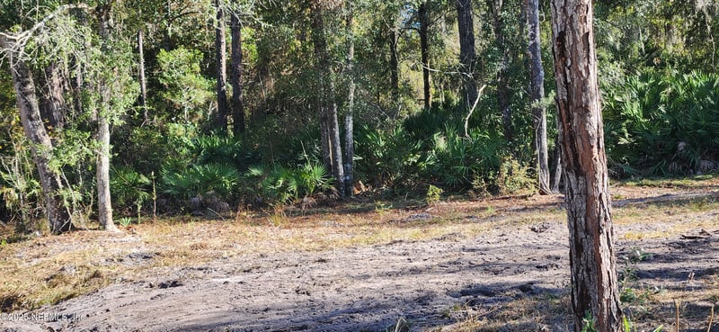 213 Breezeway Ave, Satsuma, FL 32189