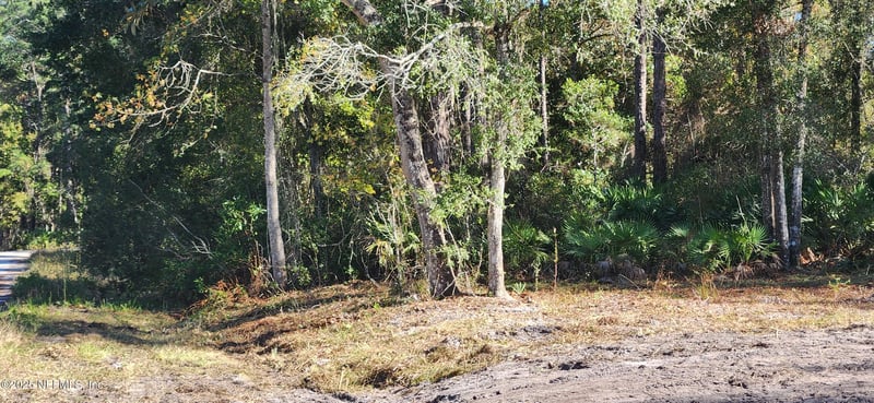 213 Breezeway Ave, Satsuma, FL 32189