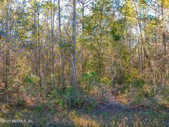 10265 Flikkema Ave, Hastings, FL 32145