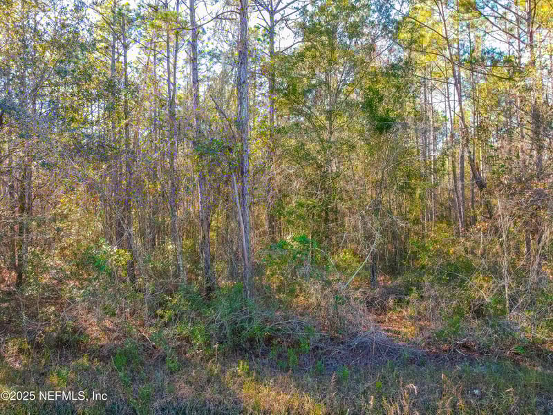 10265 Flikkema Ave, Hastings, FL 32145