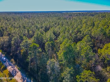 10265 Flikkema Ave, Hastings, FL 32145