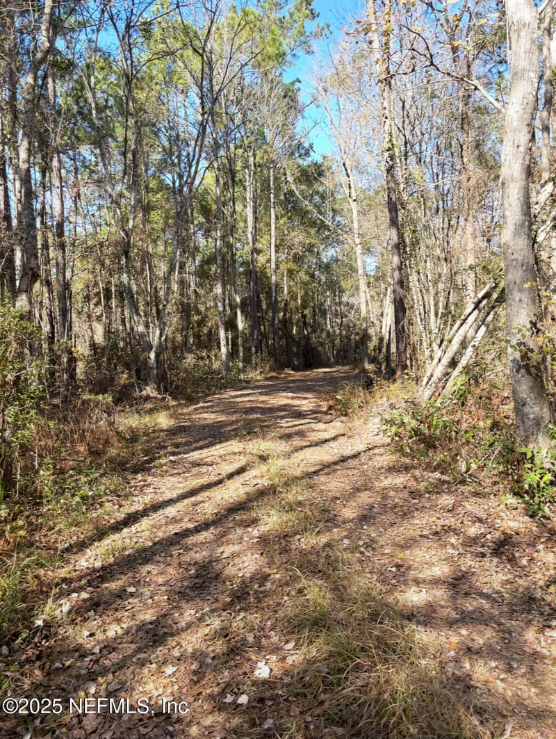 37125 Anna Marie Ln, Hilliard, FL 32046