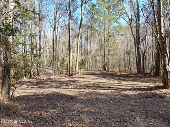 37125 Anna Marie Ln, Hilliard, FL 32046