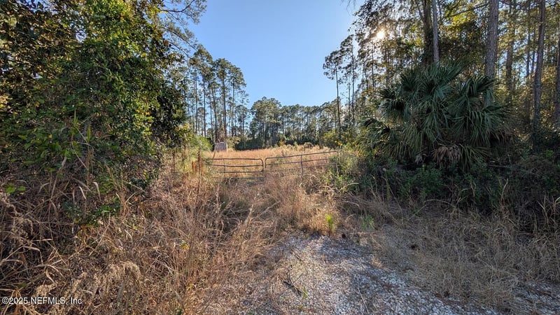 113 White Pine Ln, Georgetown, FL 32139