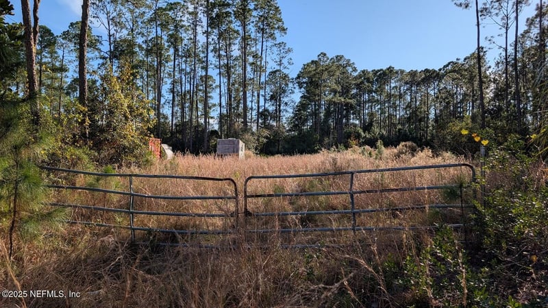 113 White Pine Ln, Georgetown, FL 32139