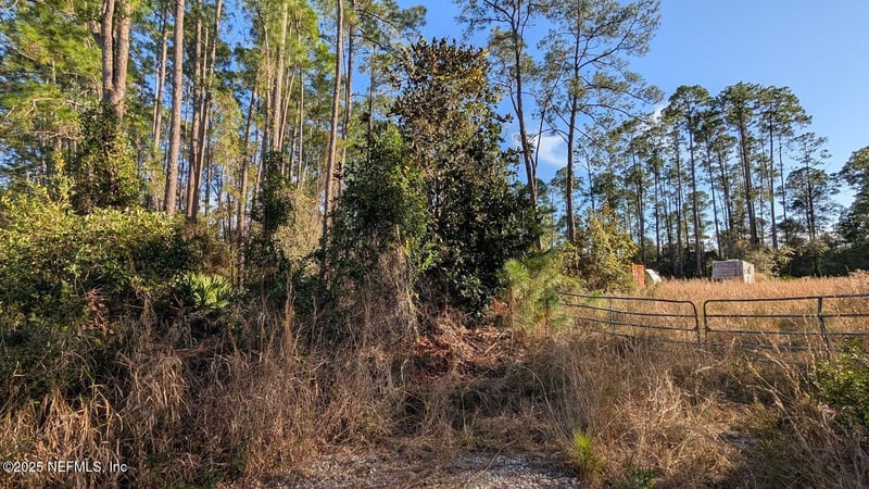 113 White Pine Ln, Georgetown, FL 32139