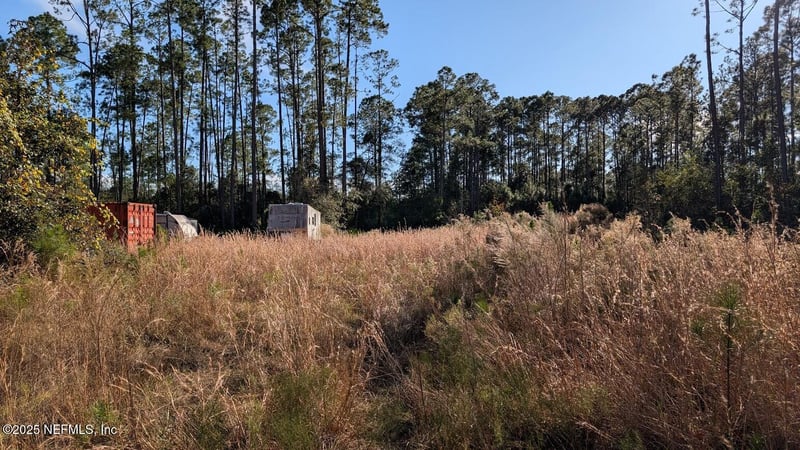 113 White Pine Ln, Georgetown, FL 32139