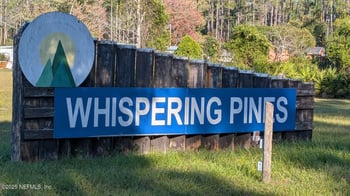 113 White Pine Ln, Georgetown, FL 32139