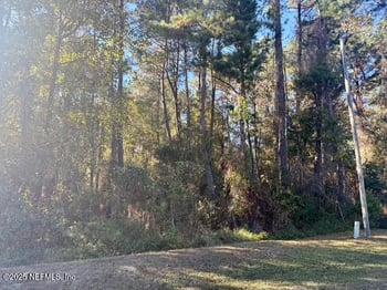 118 Ramsey Dr, Grandin, FL 32138