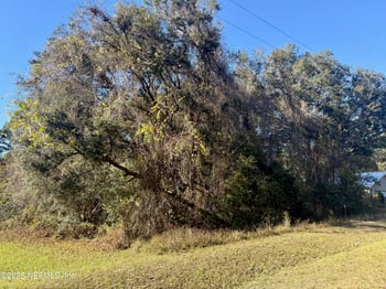 126 Ramsey Dr, Grandin, FL 32138