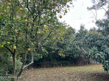 3609 Cesery Blvd, Jacksonville, FL 32277