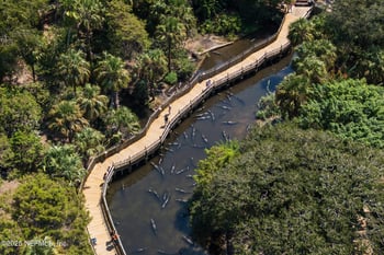 181 Martin Luther King Ave, St Augustine, FL 32084