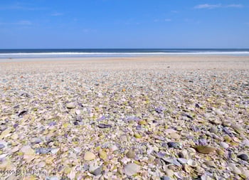 142 A Roscoe Blvd, Ponte Vedra Beach, FL 32082