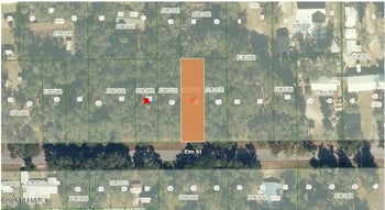 1024 Elm St, Welaka, FL 32193