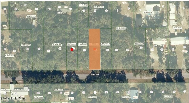 1024 Elm St, Welaka, FL 32193