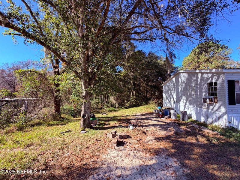 167 Peppermint Ave, Middleburg, FL 32068