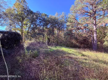 167 Peppermint Ave, Middleburg, FL 32068