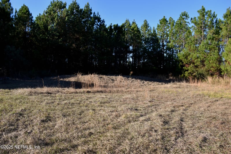 56695 Davis Rd, Callahan, FL 32011