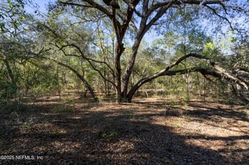 6119 Center Cir, Keystone Heights, FL 32656