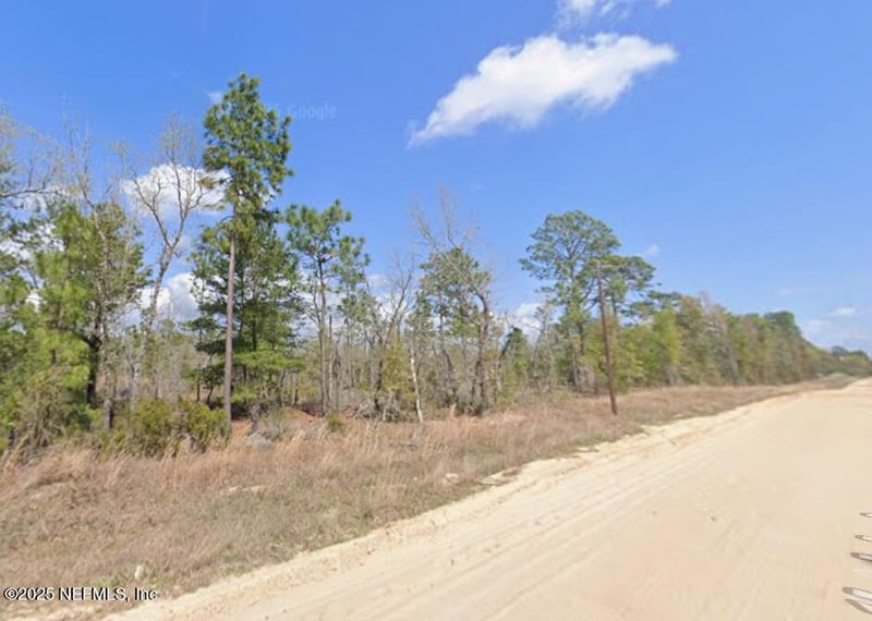 00 Martindale Ave, Interlachen, FL 32148