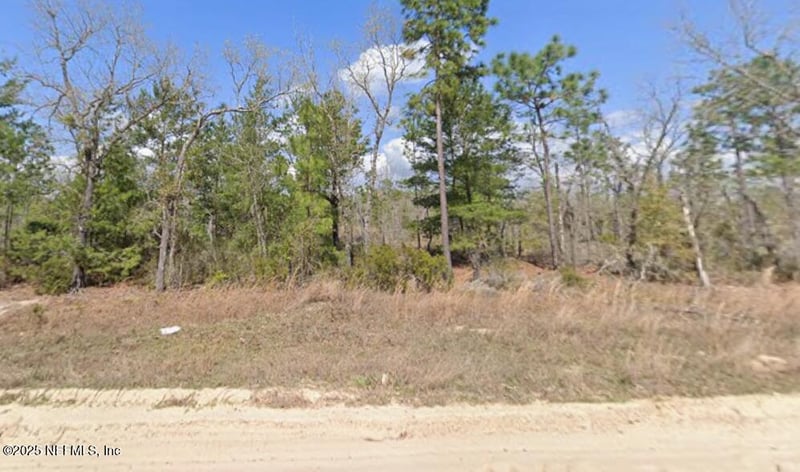 00 Martindale Ave, Interlachen, FL 32148