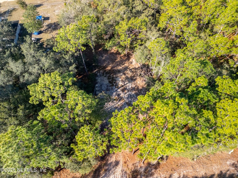 331 Quail Hollow Rd, Satsuma, FL 32189