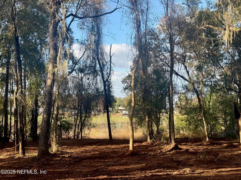 892 Lake Shore Ter, Interlachen, FL 32148