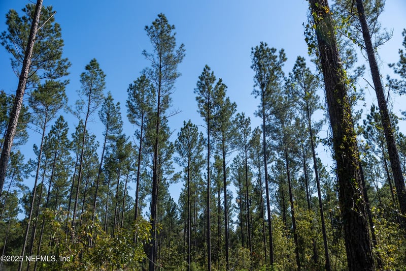 0 Us Highway 301, Callahan, FL 32011