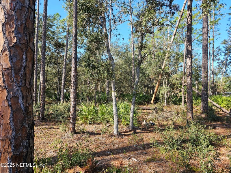 117 Glisson St, Interlachen, FL 32148